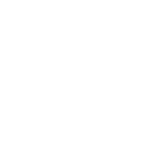 Stuzzicami