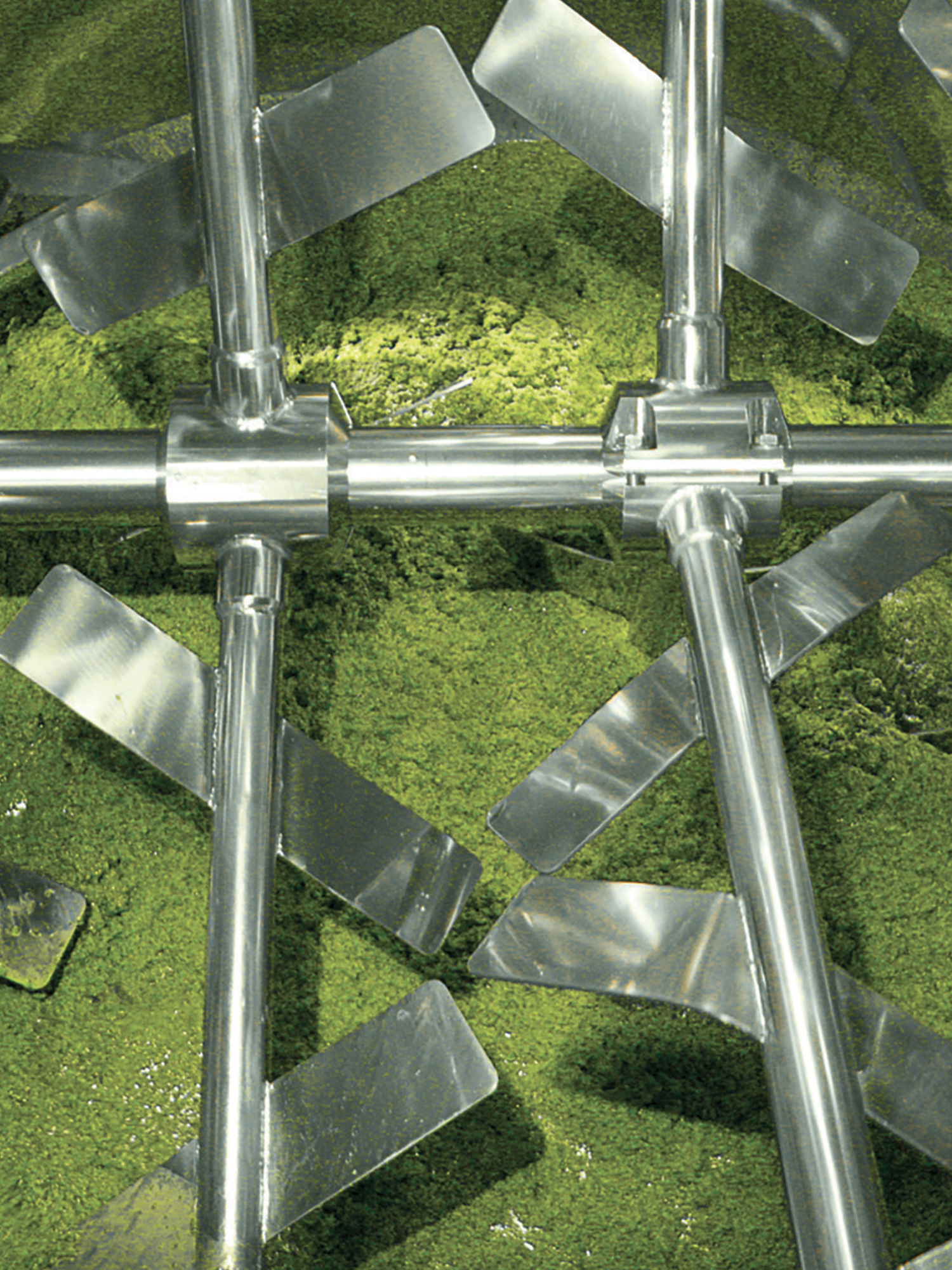 Lavorazione del pesto