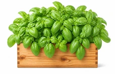 Selezione