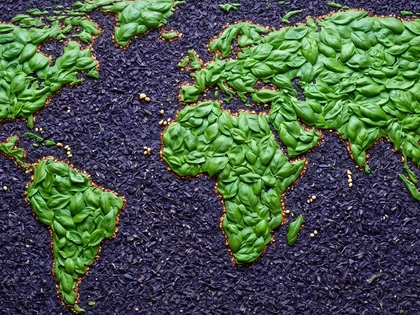 Presenti in tutto il mondo